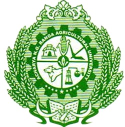 NG Ranga